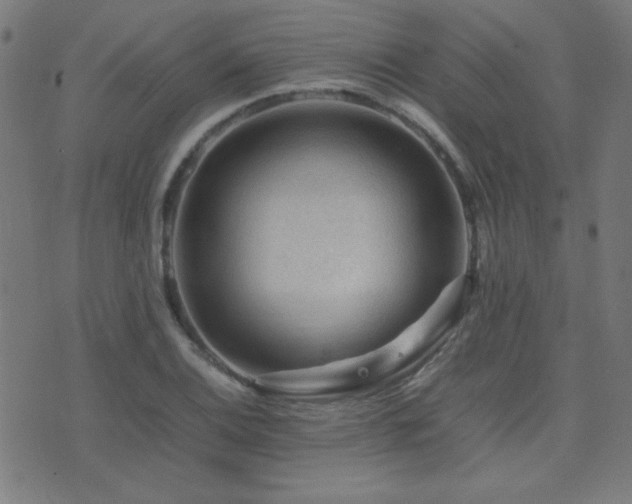 X0000075381124200609081158