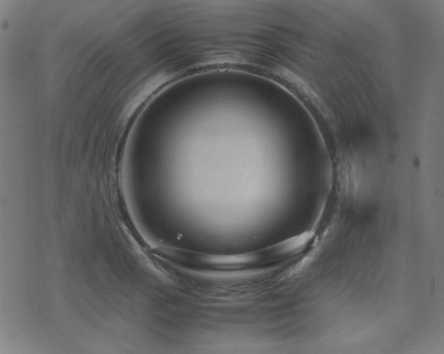 X0000075381129200609081158