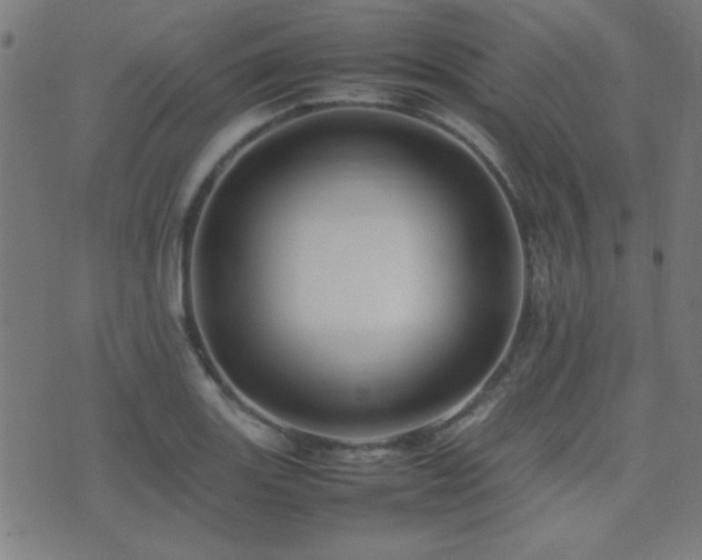 X0000075381131200609081158