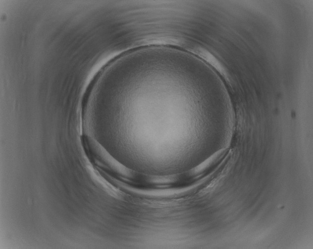 X0000075381132200609081158