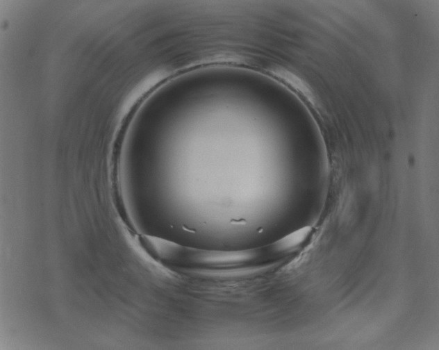 X0000075381135200609081158