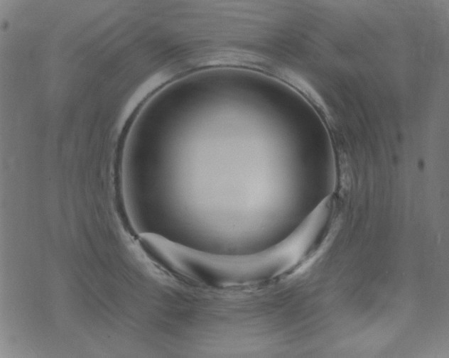 X0000075381138200609081158