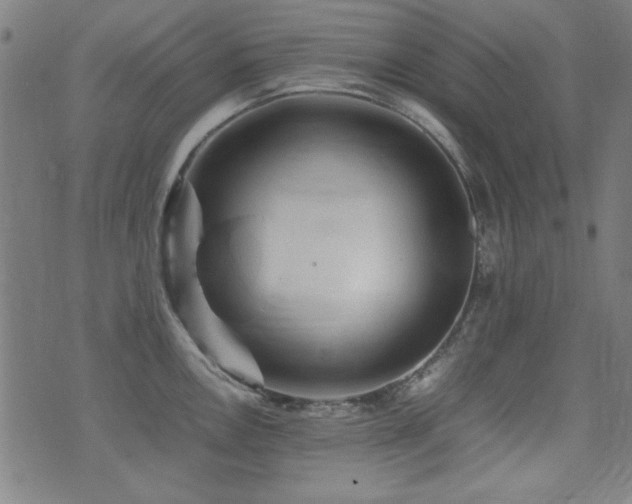 X0000075381146200609081158