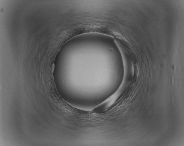 X0000075381153200609081157