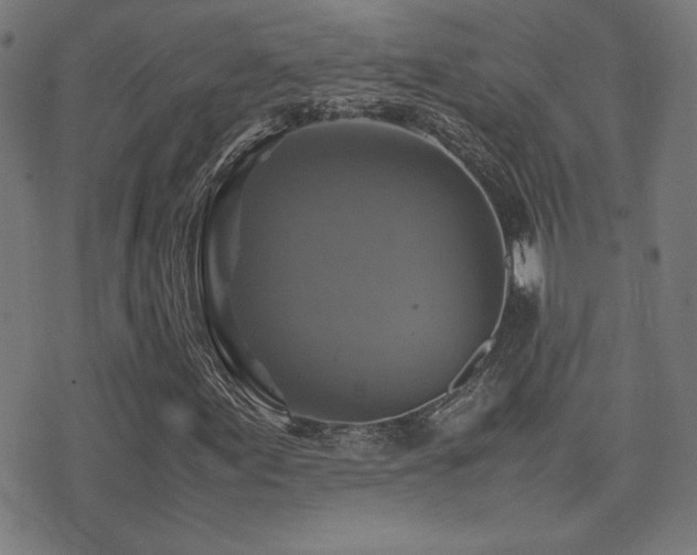 X0000075381155200609081157