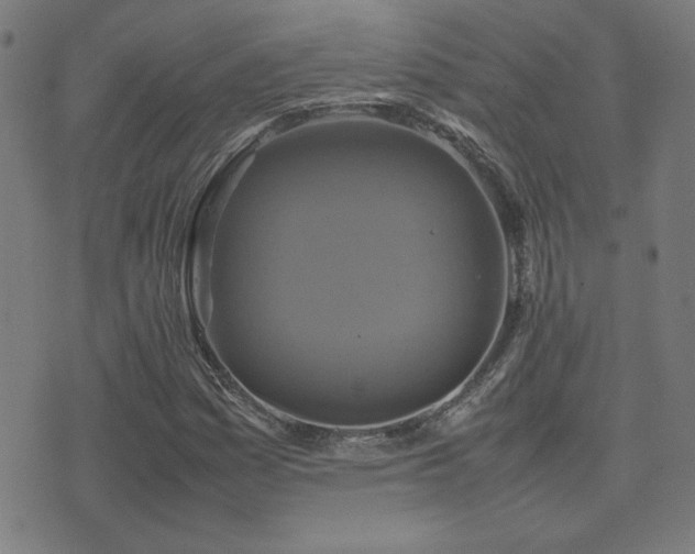 X0000075381161200609081157