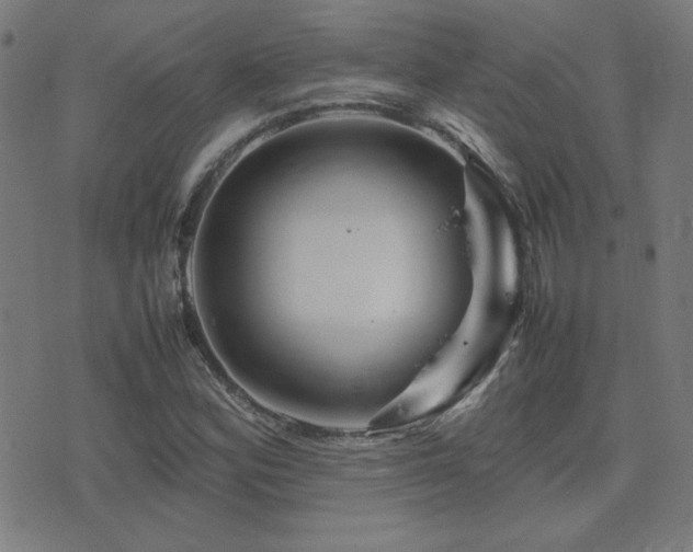 X0000075381164200609081157