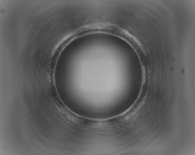 X0000075381166200609081157