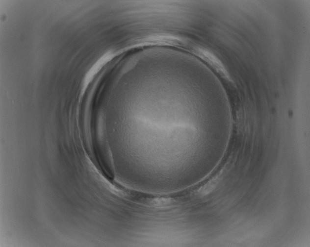 X0000075381180200609081157