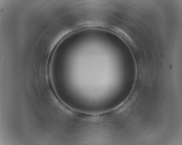 X0000075381182200609081157