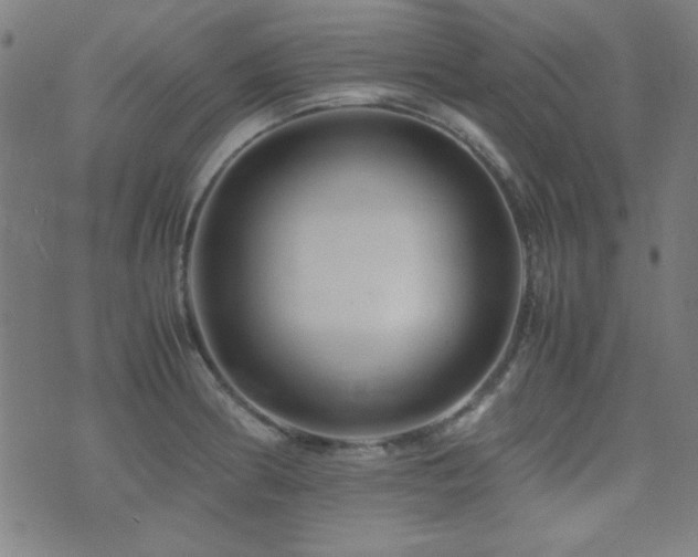 X0000075381186200609081157
