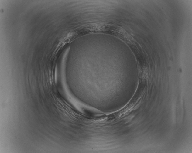X0000075381202200609081156