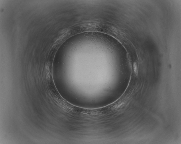 X0000075381203200609081156
