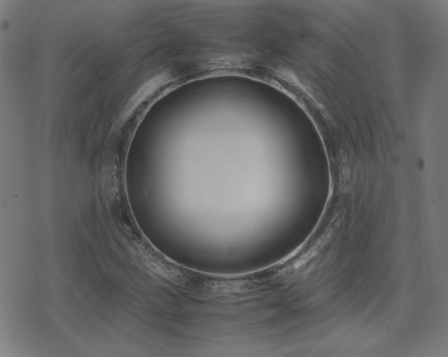 X0000075381211200609081156