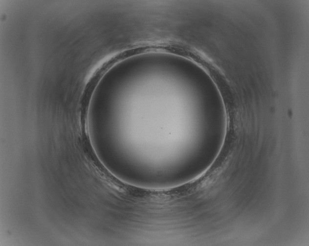 X0000075381214200609081156
