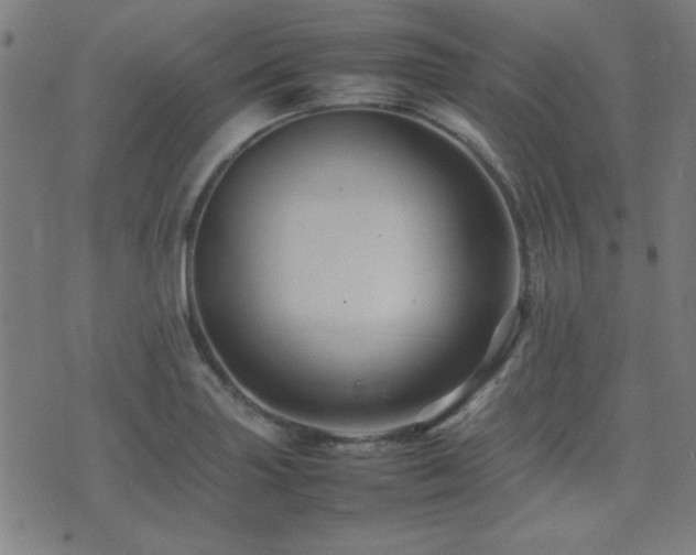 X0000075381227200609081156