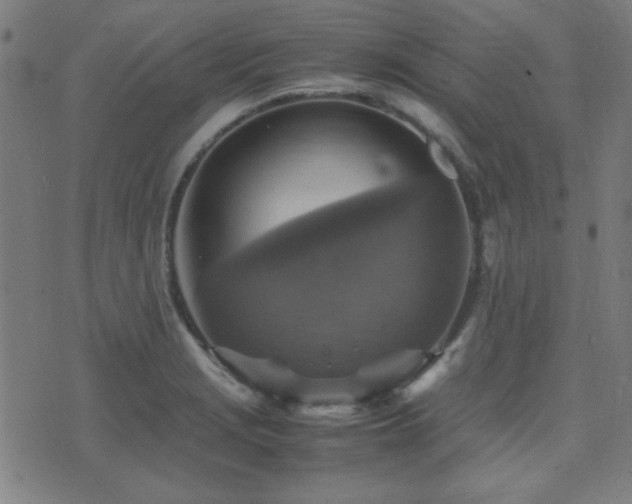 X0000075381229200609081156
