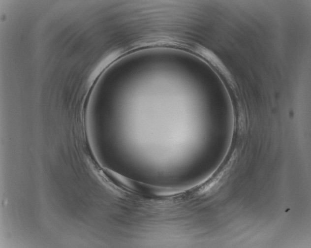 X0000075381242200609081156