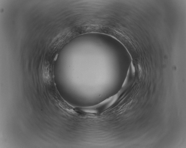 X0000075381250200609081156