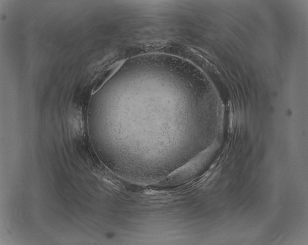 X0000075381252200609081156