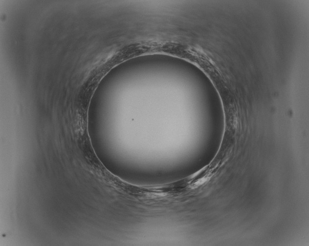 X0000075381253200609081156