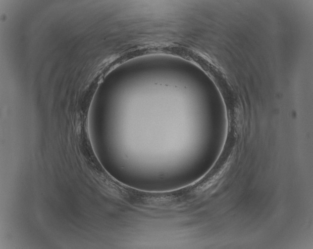 X0000075381257200609081156