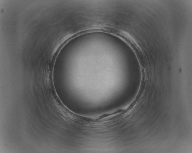 X0000075381260200609081156