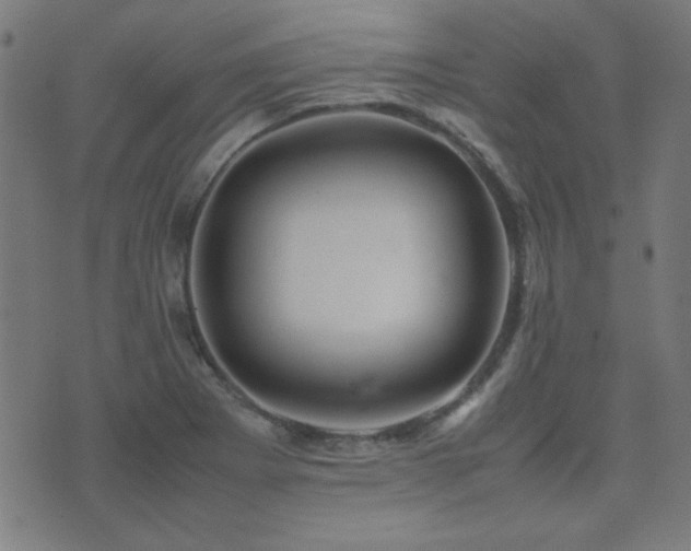 X0000075381273200609081155