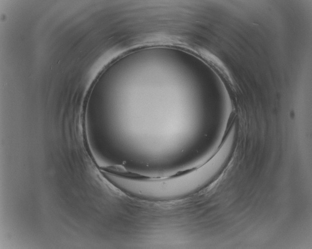 X0000075381288200609081155