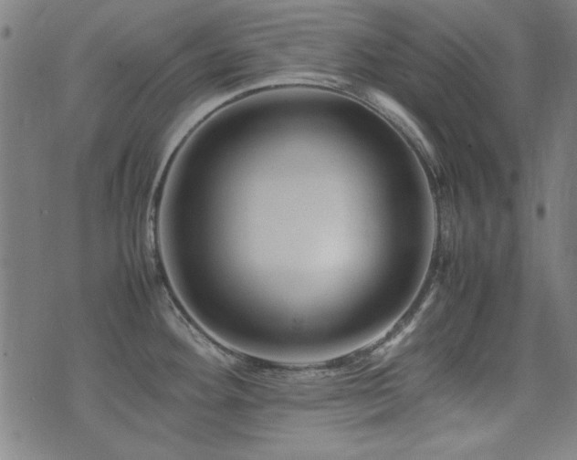 X0000075381292200609081155