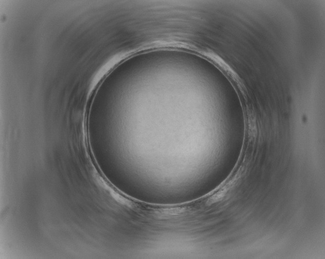 X0000075381294200609081155