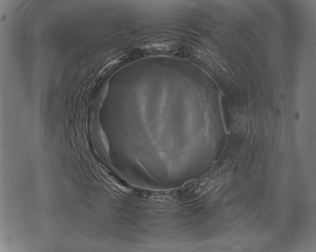 X0000075381297200609081154