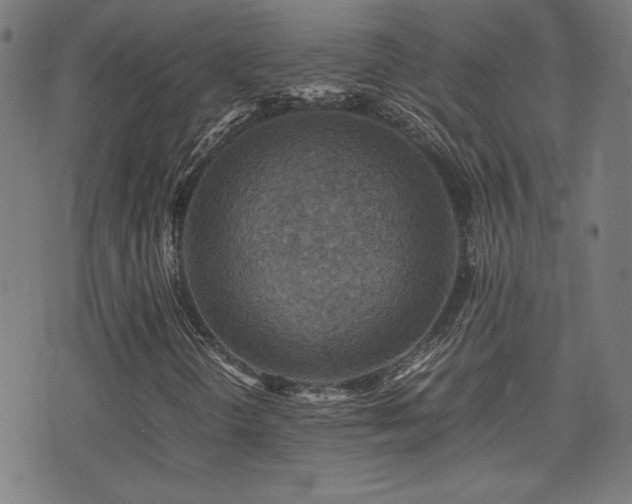 X0000075381298200609081154