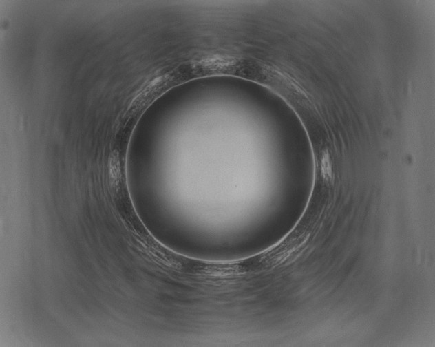 X0000075381299200609081154