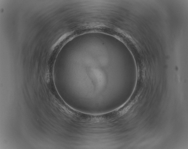 X0000075381306200609081154
