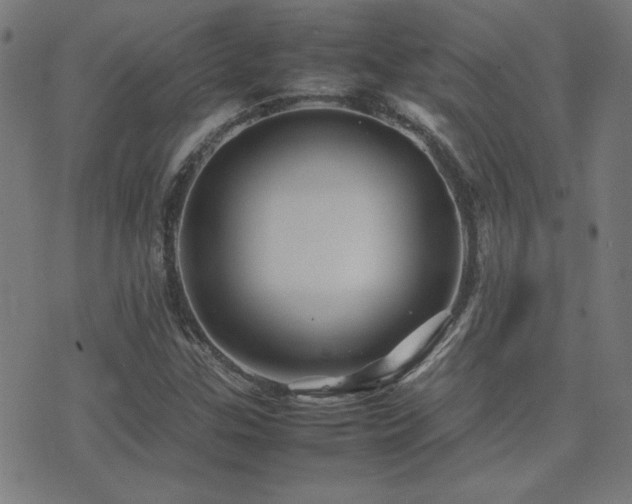 X0000075381307200609081154