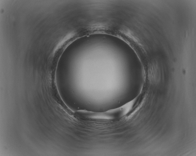 X0000075381309200609081154