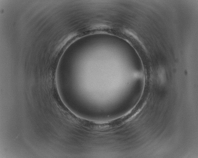 X0000075381313200609081154