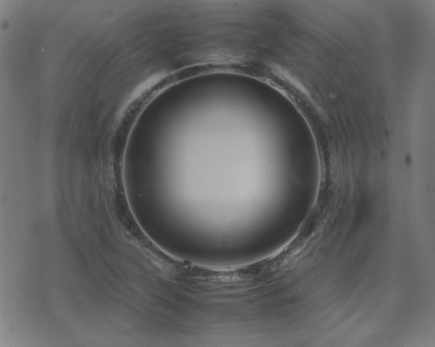 X0000075381315200609081155