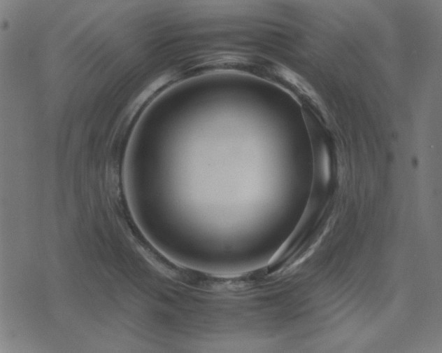 X0000075381321200609081155