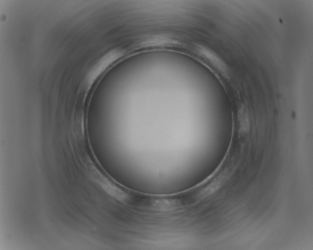 X0000075381322200609081155