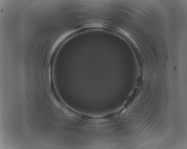 X0000075381323200609081155