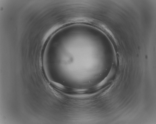 X0000075381328200609081155