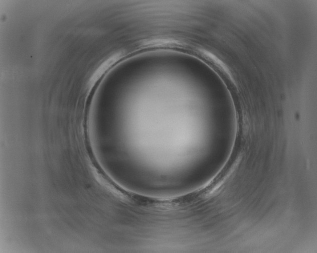 X0000075381330200609081155