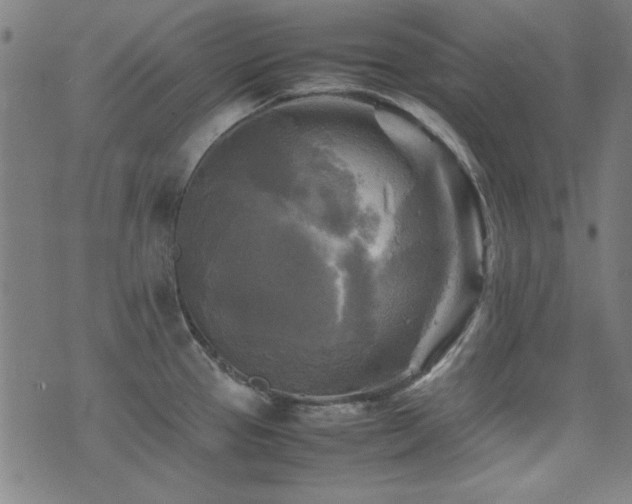 X0000075381337200609081155