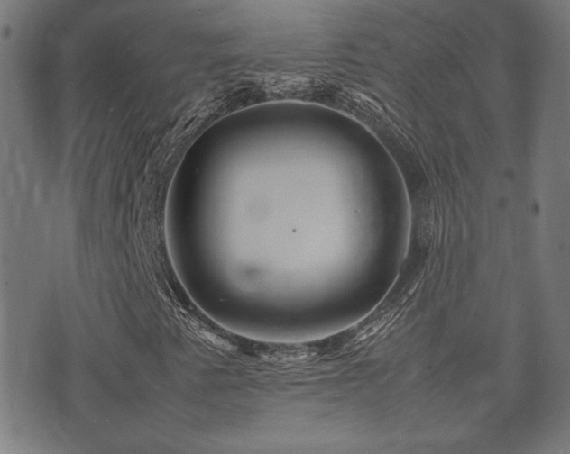 X0000075381345200609081154