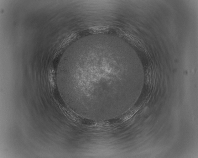 X0000075381346200609081154