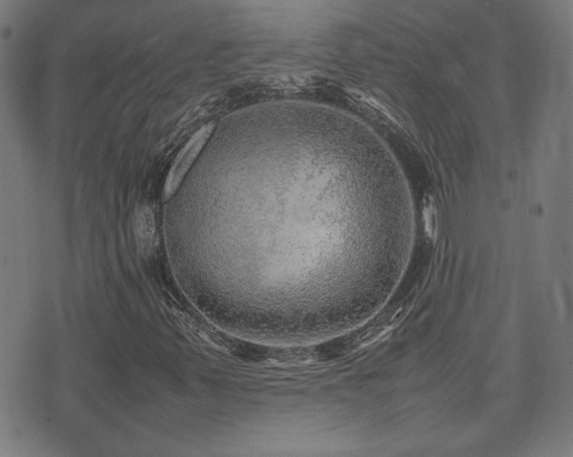 X0000075381347200609081154