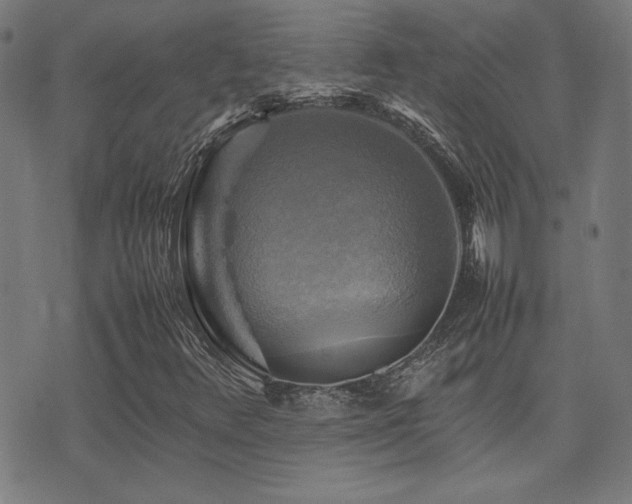 X0000075381348200609081154