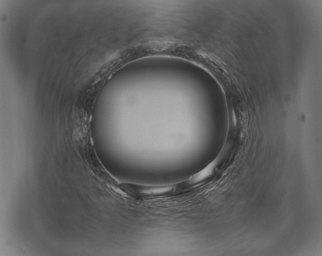 X0000075381349200609081154